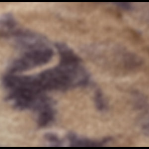 CAMEL/BLUEBERRY TIE-DYE