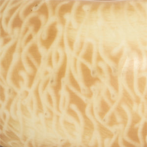 CONCHIGLIA DISEGNO 1